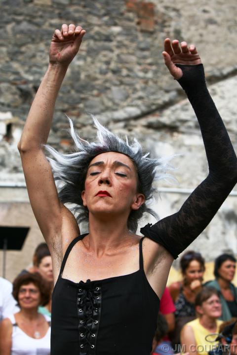 Diapositive suivante